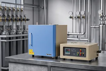 隐形锻炉：为何热精度主宰人体解剖学